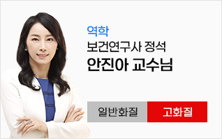 안진아 역학
